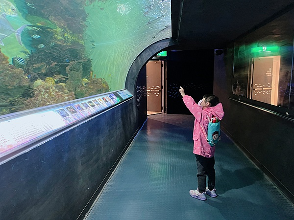 【團購】花蓮遠雄海洋公園水族館夜宿：親親夜未眠兩天一夜行程大