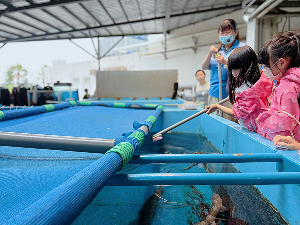 【團購】花蓮遠雄海洋公園水族館夜宿：親親夜未眠兩天一夜行程大