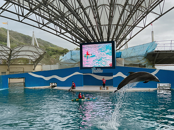 【團購】花蓮遠雄海洋公園水族館夜宿：親親夜未眠兩天一夜行程大