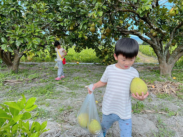 【團購】花蓮瑞穗天合兩萬坪超夢幻親子樂園！滑水道、水樂園、兒