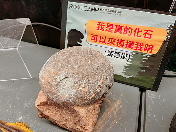 【亲子旅游】新北大板根森林温泉酒店全新亲子主题客房！恐龙探索