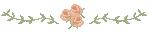 rsli4.gif rsli4.gif