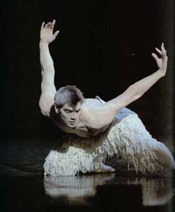 Adam- Swan Lake