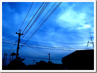 IMG_1758 IMG_1758