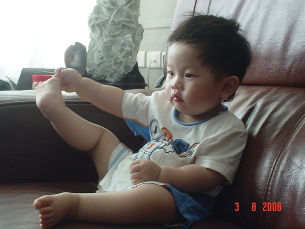 壞小豬-20080803 067.jpg 壞小豬-20080803 067.jpg