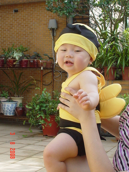 壞小豬-20080803 015.jpg 壞小豬-20080803 015.jpg