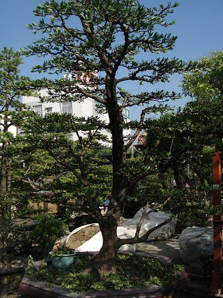 12-814C47D0-1469531-1024