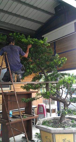 163299_342625405804036_337281443005099_845294_714442872_n