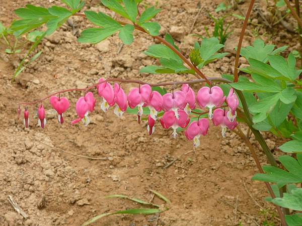 2245597x89mpgixyw6y7fm