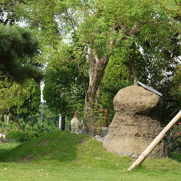 生動活潑的雞2 生動活潑的雞2