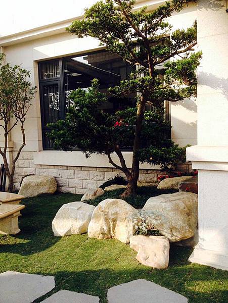 1羅漢松主樹設計,讓家園更有生氣 1羅漢松主樹設計,讓家園更有生氣
