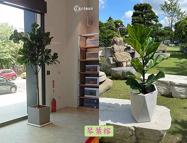lungho-Houseplants-04.jpg