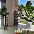 lungho-Houseplants-04.jpg