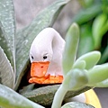 S__2916363.jpg
