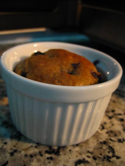 blueberry muffin 021108.jpg