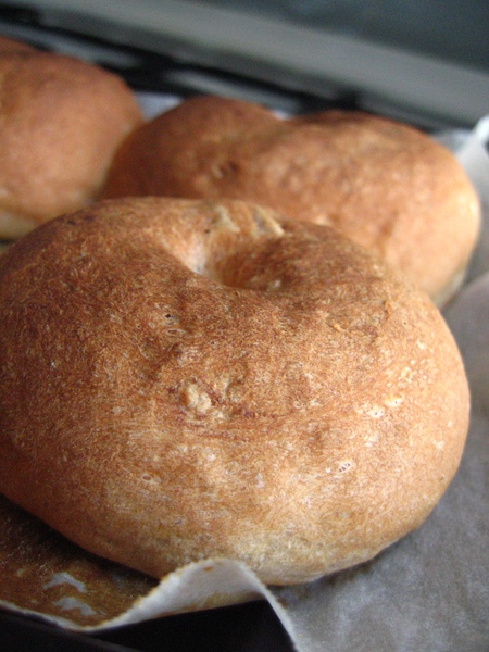 Bagel 15032009