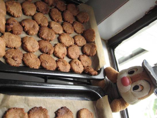 White Chocolate Nuts Cookies 26042009.jpg