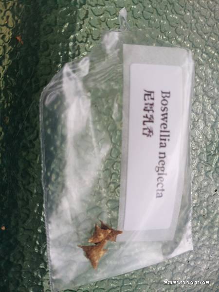 IMG_20211114_114538 IMG_20211114_114538