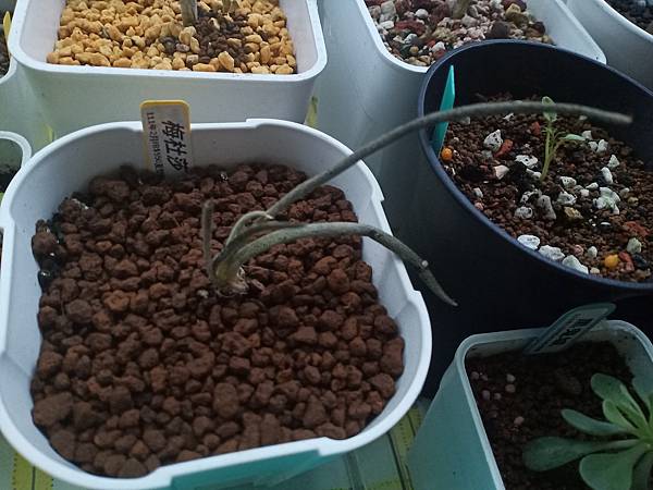 IMG_20220212_174023 IMG_20220212_174023