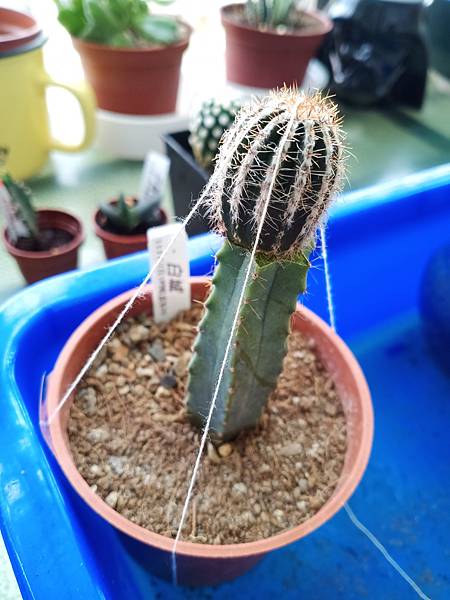 IMG_20220303_084414 IMG_20220303_084414