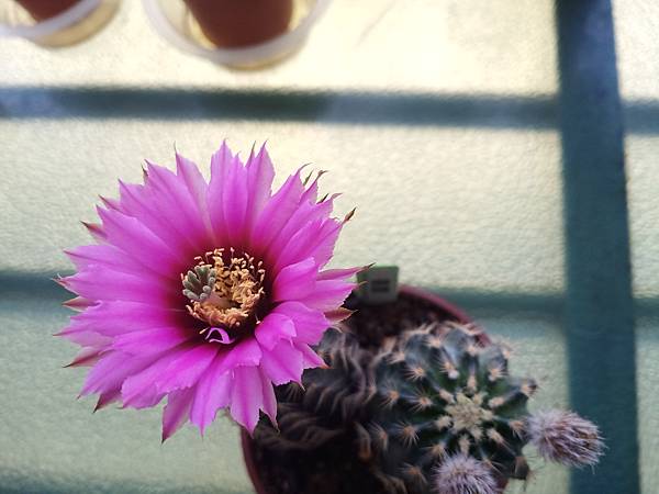 IMG_20220409_121236 IMG_20220409_121236