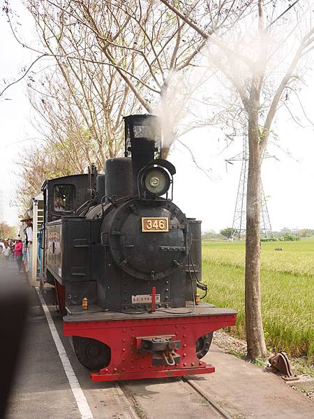 P1010592 P1010592