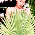 sj_christy_chung006.jpg