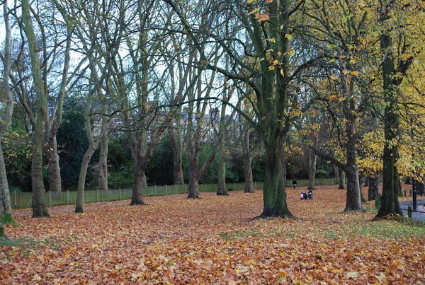 DSC_0229.JPG DSC_0229.JPG