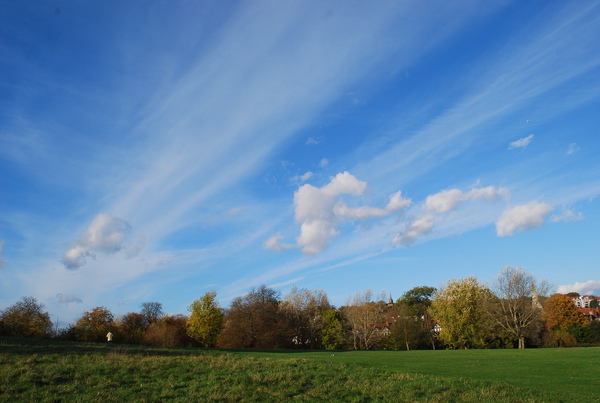 DSC_0208.JPG DSC_0208.JPG