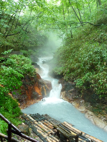 0719_001.大湯沼步道的足湯.jpg