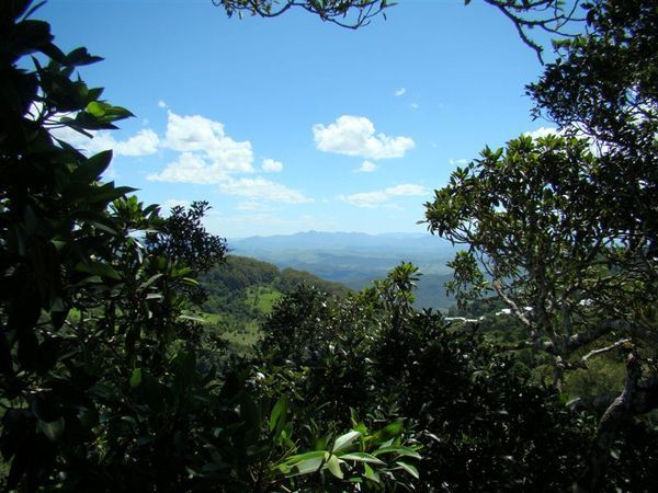 Lamington National Park