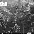 FAX 050220 星期日 0130