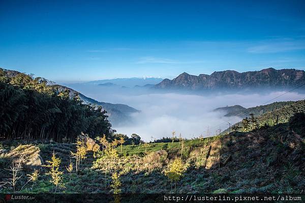 20151215大武崙茶園-1.jpg