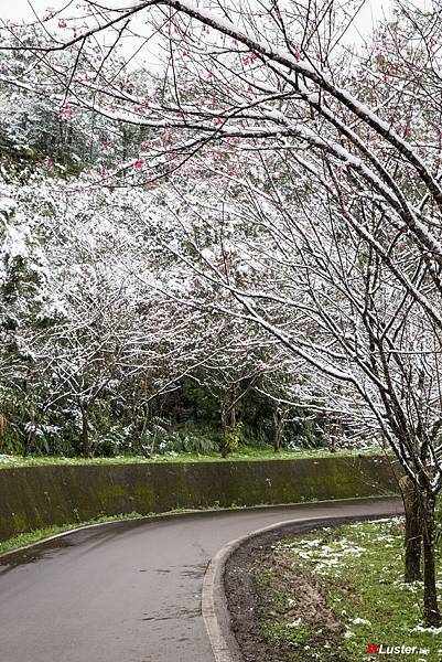 20160125南山寺-7