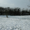 snow7