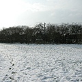 snow6