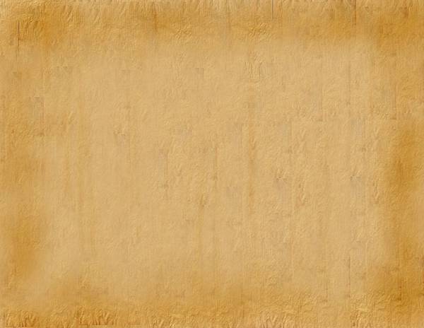 Parchment_Paper_Texture_by_sinnedaria.jpg