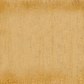 Parchment_Paper_Texture_by_sinnedaria.jpg