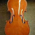viotti_03.jpg