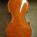 viotti_04.jpg