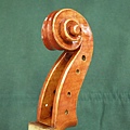 viotti_05.jpg