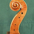 viotti_06.jpg