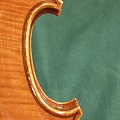 viotti_07.jpg
