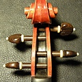 viotti_08.jpg
