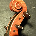 viotti_09.jpg