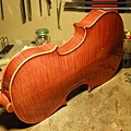 viotti_11.jpg