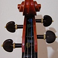 viotti_17.jpg