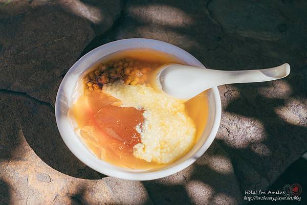 10 屏東霧台_神山愛玉.jpg