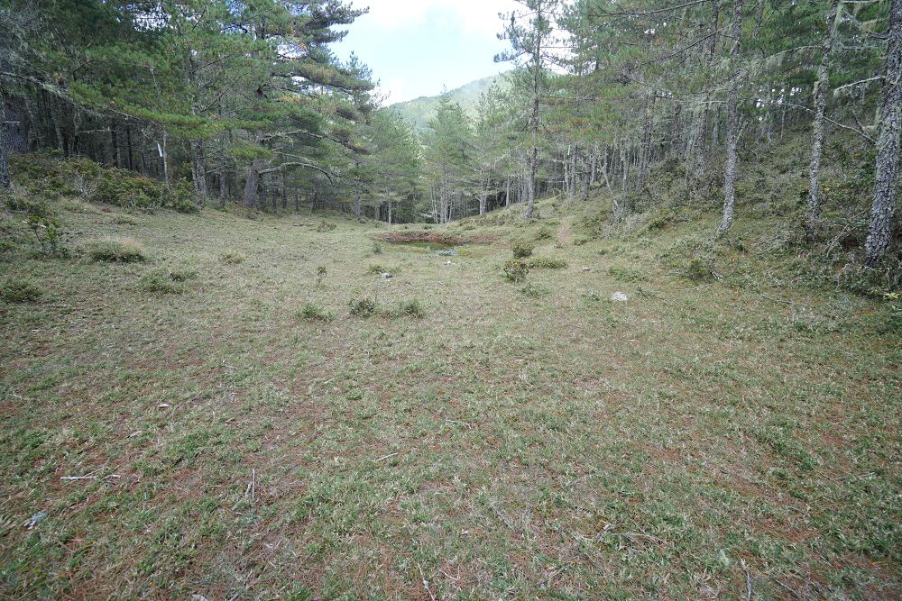 2018_1106_131550.jpg 2018_1106_131550.jpg