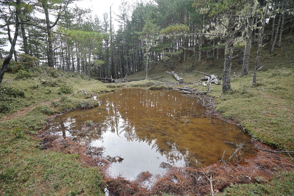 2018_1106_131544.jpg 2018_1106_131544.jpg